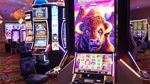 Evolution Gaming live baccarat table on totobet805 login mobile interface